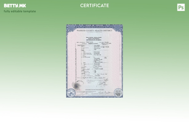 Модерен стил, шаблон за извод од матична книга на родените во државата Невада во